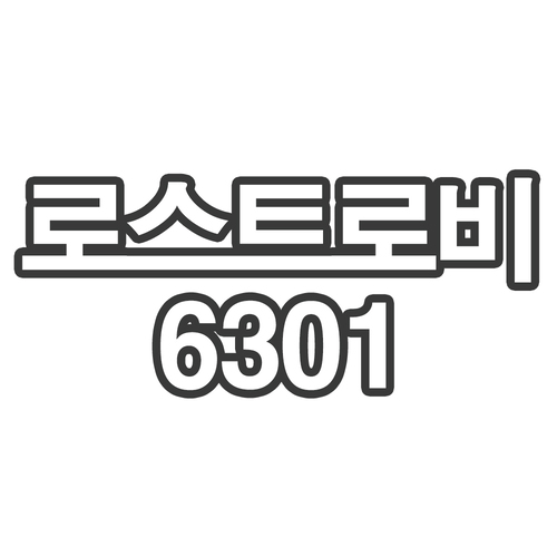 로스트로비6301- 개인결제창